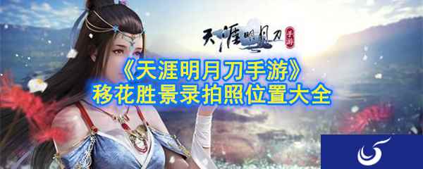 《天涯明月刀手游》移花胜景录拍照位置大全