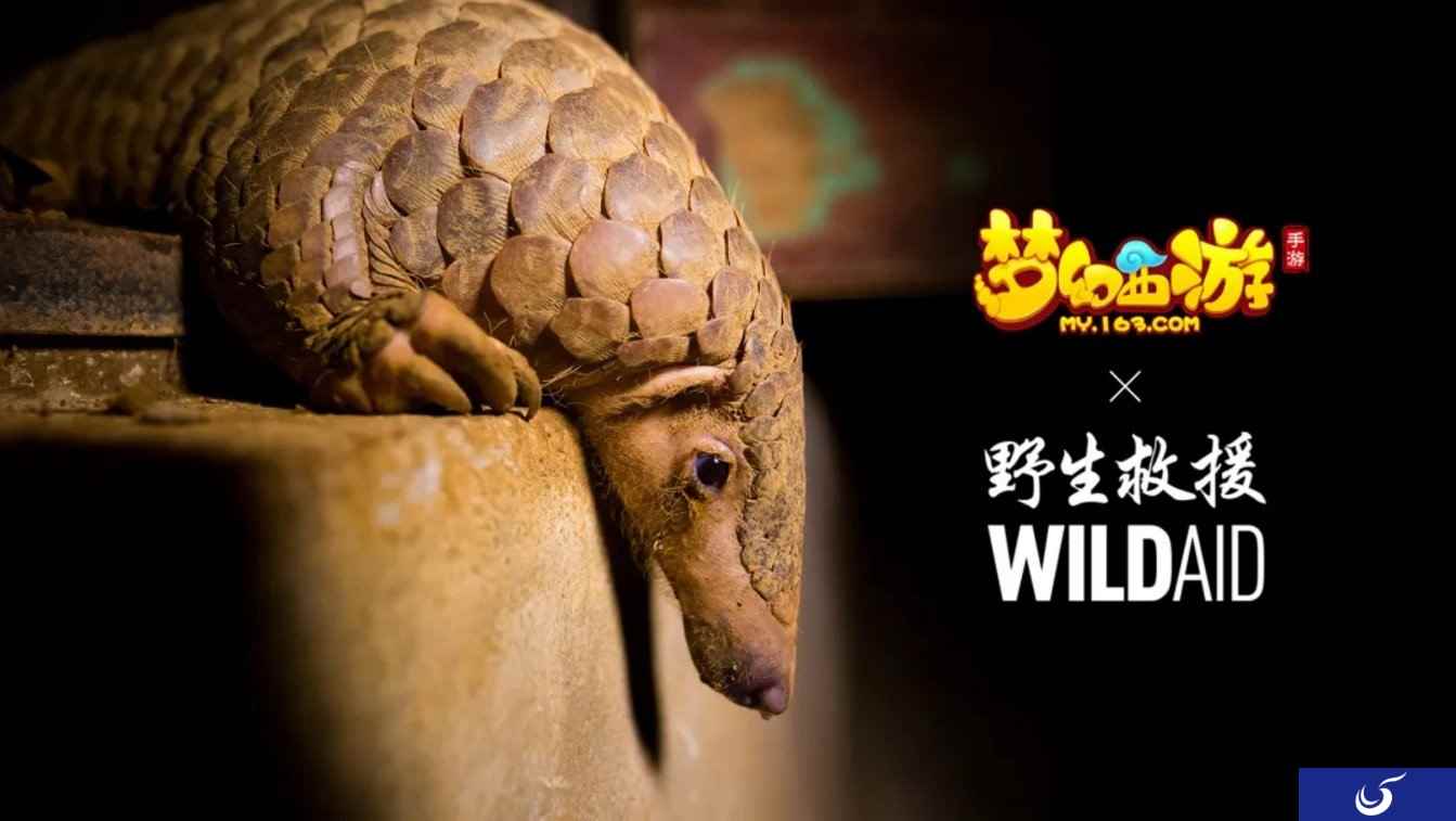 守望生灵!《梦幻西游》手游携手WildAid打造野生动物保护新玩法