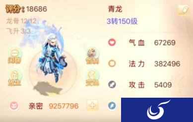 大话西游手游青龙宠物养成指南 秒杀38W不成问题