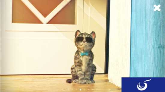 《我最喜爱的猫猫》手游评测:和它一起度过快乐时光