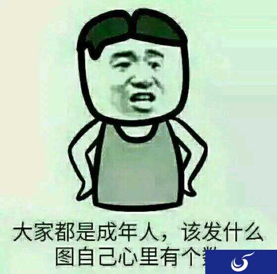 一款仅靠两张GIF动图就刷爆社交圈的绅士游戏...