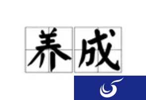 讲真,其实你们一直误解了养成类游戏