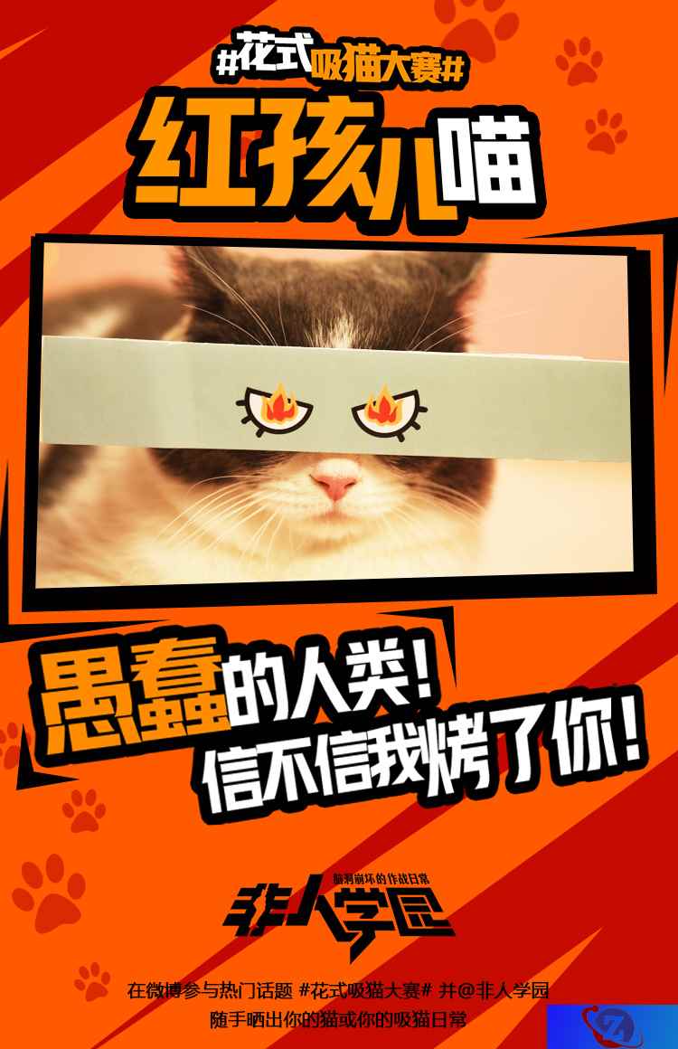 4.12去猫岛开黑!《非人学园》开启花式吸猫大赛