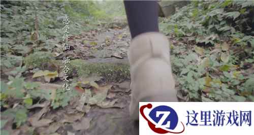 另类沉浸式体验，仙剑奇侠传4的熊猫仙剑情