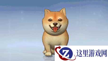 呆萌柴犬登录风云岛！宠物时装功能同步上线