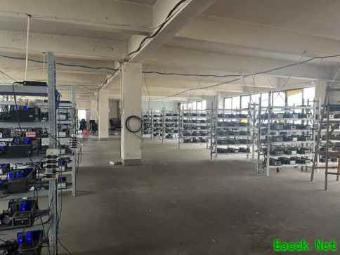 扫除游戏健康生态“新害虫”，米哈游协助警方斩断“游戏账号非法租售黑灰产”链条