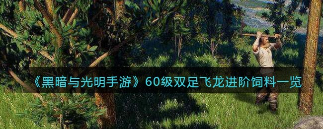 《黑暗与光明手游》60级双足飞龙进阶饲料一览