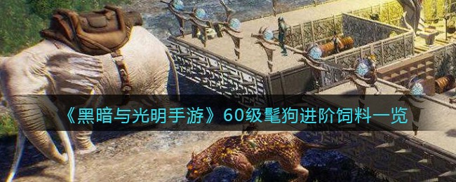 《黑暗与光明手游》60级髦狗进阶饲料一览