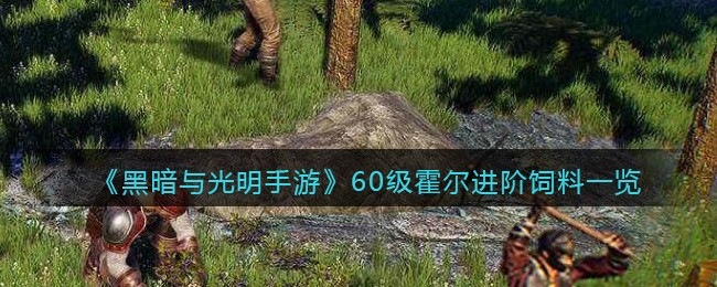 《黑暗与光明手游》60级霍尔进阶饲料一览