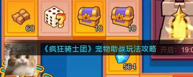 《疯狂骑士团》宠物助战玩法攻略