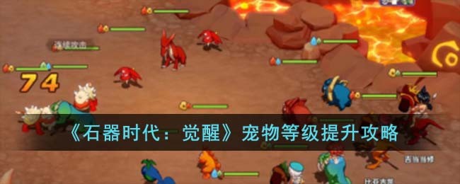 《石器时代:觉醒》宠物等级提升攻略