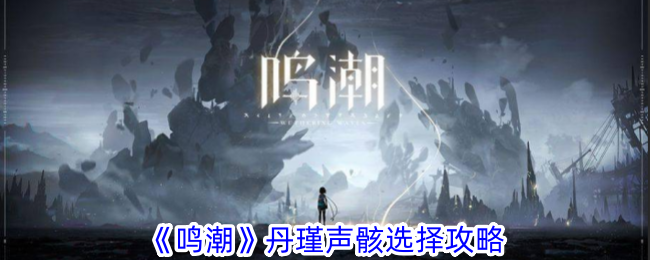 《鸣潮》丹瑾声骸选择攻略