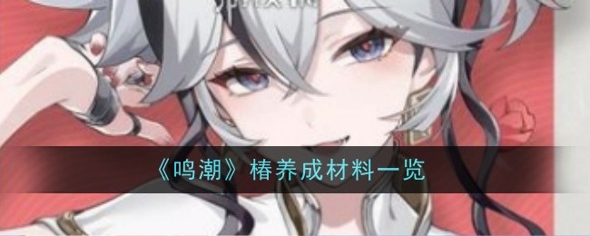 《鸣潮》椿养成材料一览