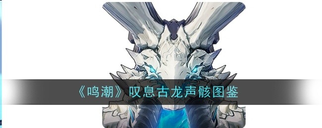 《鸣潮》叹息古龙声骸图鉴