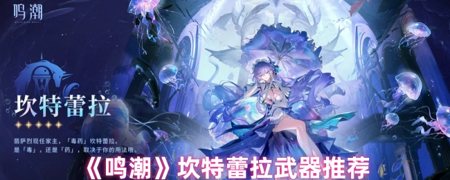 《鸣潮》坎特蕾拉武器推荐