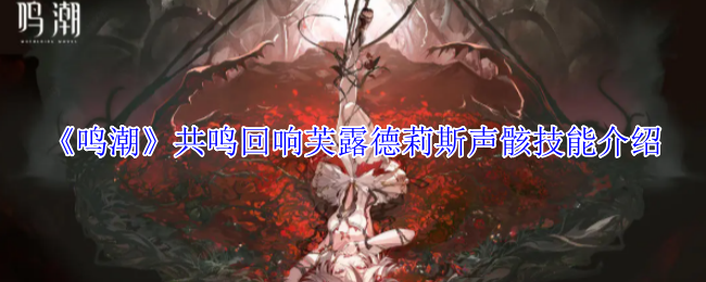 《鸣潮》共鸣回响芙露德莉斯声骸技能介绍