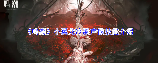 《鸣潮》小翼龙冷凝声骸技能介绍