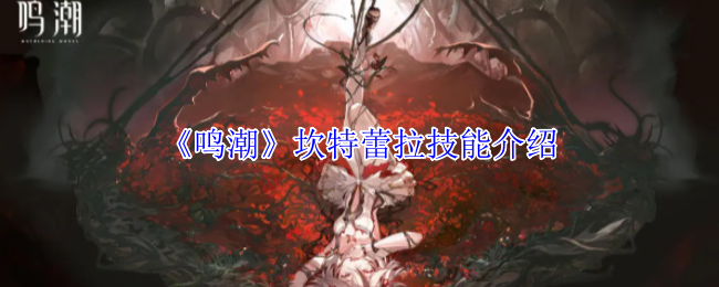 《鸣潮》坎特蕾拉技能介绍