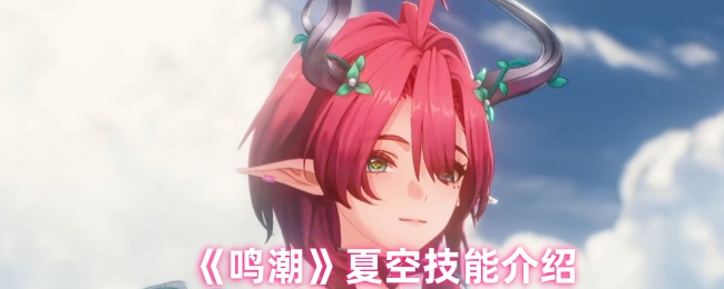 《鸣潮》夏空技能介绍