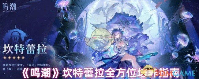 《鸣潮》坎特蕾拉全方位培养指南