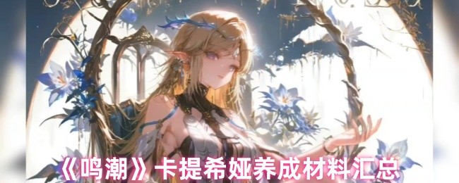 《鸣潮》卡提希娅养成材料汇总