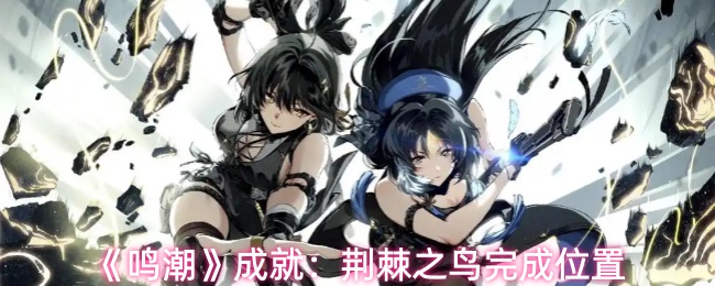 《鸣潮》成就:荆棘之鸟完成位置