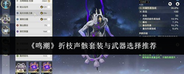 《鸣潮》折枝声骸套装与武器选择推荐