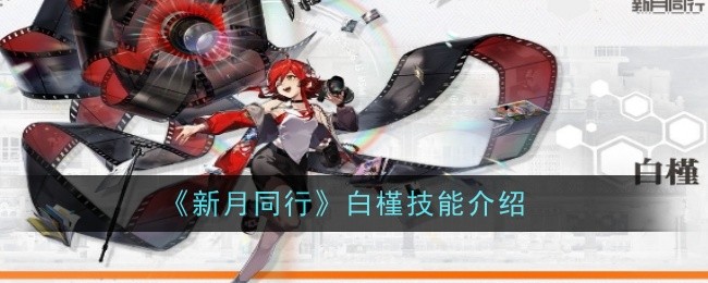 《新月同行》白槿技能介绍