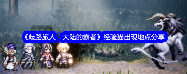 《歧路旅人:大陆的霸者》经验猫出现地点分享