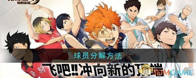 《排球少年：新的征程》球员分解方法