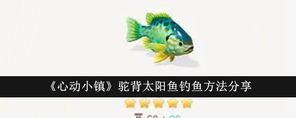 《心动小镇》驼背太阳鱼钓鱼方法分享