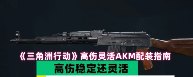 《三角洲行动》高伤灵活AKM配装指南