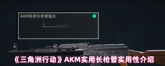 《三角洲行动》AKM实用长枪管实用性介绍
