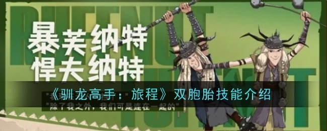 《驯龙高手:旅程》双胞胎技能介绍