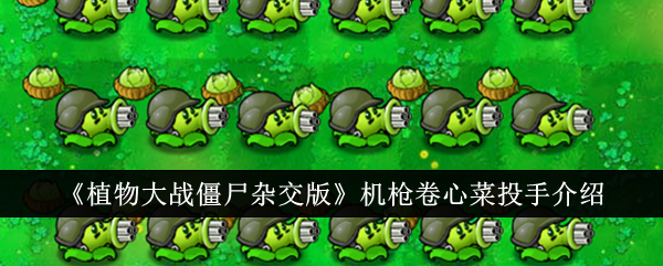 《植物大战僵尸杂交版》机枪卷心菜投手介绍