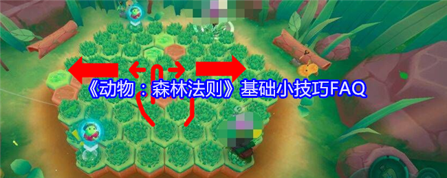 《动物:森林法则》基础小技巧FAQ