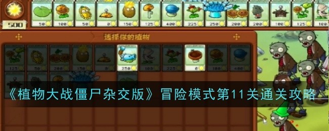 《植物大战僵尸杂交版》冒险模式第11关通关攻略