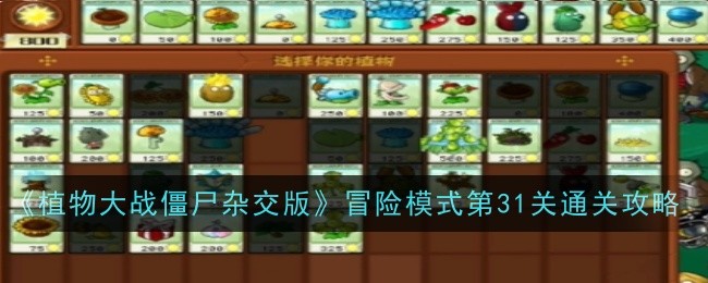 《植物大战僵尸杂交版》冒险模式第31关通关攻略