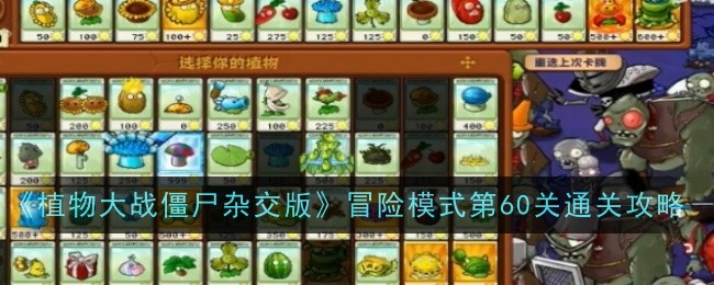 《植物大战僵尸杂交版》冒险模式第60关通关攻略