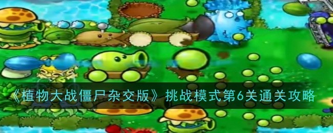 《植物大战僵尸杂交版》挑战模式第6关通关攻略