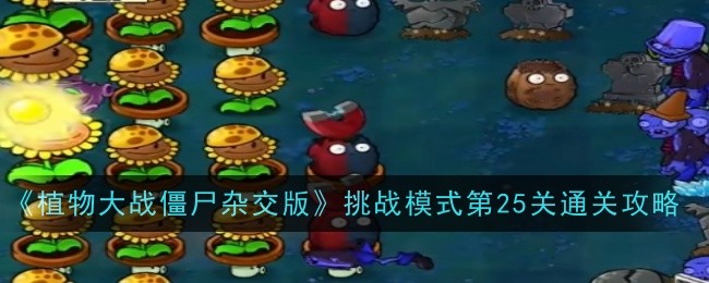 《植物大战僵尸杂交版》挑战模式第25关通关攻略