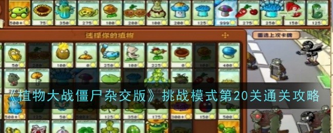 《植物大战僵尸杂交版》挑战模式第20关通关攻略