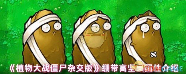 《植物大战僵尸杂交版》绷带高坚果属性介绍