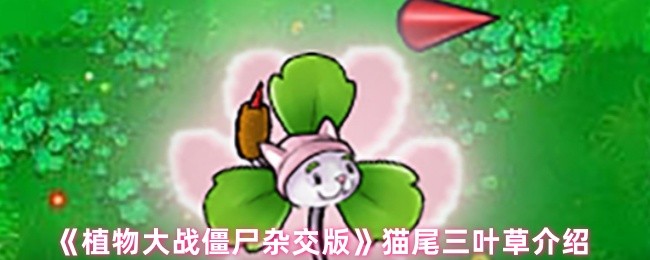 《植物大战僵尸杂交版》猫尾三叶草介绍