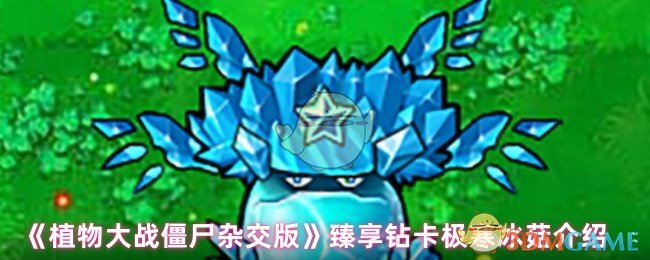 《植物大战僵尸杂交版》臻享钻卡极寒冰菇介绍