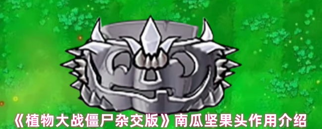 《植物大战僵尸杂交版》钢果南瓜头作用介绍