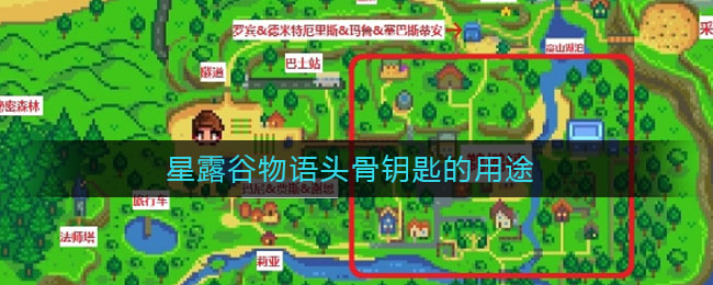 星露谷物语头骨钥匙的用途