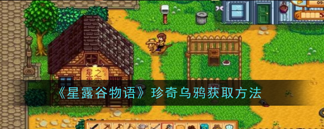 《星露谷物语》珍奇乌鸦获取方法