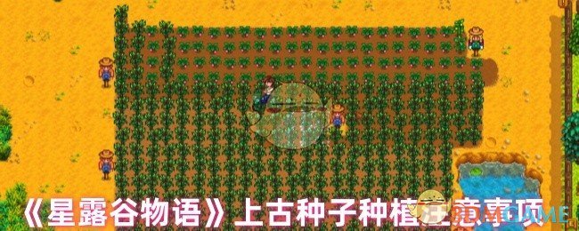 《星露谷物语》上古种子种植注意事项