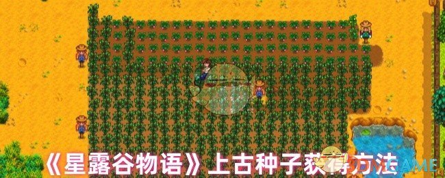 《星露谷物语》上古种子获得方法